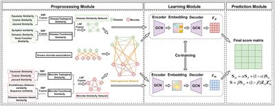 Predicting microbe–disease association based on graph autoencoder and inductive matrix completion with multi-similarities fusion